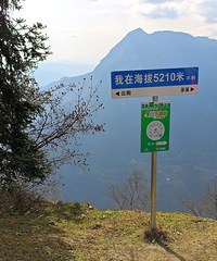 ������������ѷ�ŵ�������