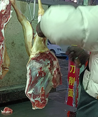 aa�۲ͣ������³�