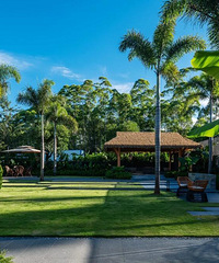 ������ʮ�������û��ȥ�棬������ȥ�������κ���