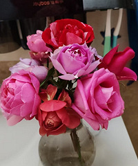 �Ը�����Ŀ��ֲ廨ƿƯ��