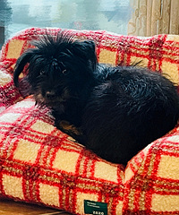 ɽķ�ĳ���ɳ����ֵ����