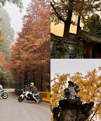 �����ܱ����Ƽ����⼸���ط���Ҫ����