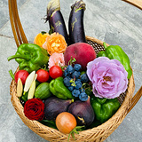 ���㿪ʼ����ũ���ջ�