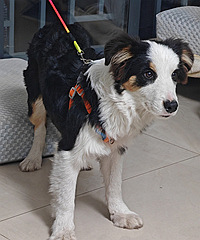 �����ı�����������������