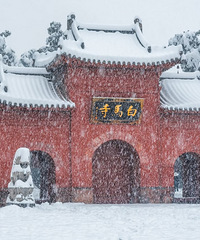 ��������ĩ׷ѩ�μ�