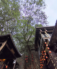 �������Ͻ֣���ĩ����������