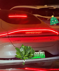 �³������������ˣ�������ǳ����ĳ��ƹ�����