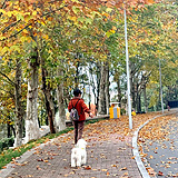 ��չ��԰���ʺ��޹�