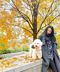 ��չ��԰���ʺ��޹�