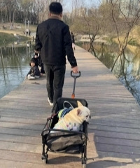 ����ʵ�����м�ȡ����