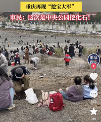 [��̽]�������ֿ�ʼ�����빫԰��ʯͷ�ˡ���