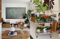 ƴϦϦƽ�ۼҾӺ���ͳɱ������С��Ҳ��ů