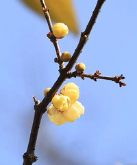 �����һ����÷���ˣ�Pang�㣡