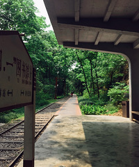 �����ҵĳ�����ͻȻ�������ʮ������ﻰ��˵������