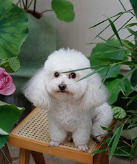 �ҵĹ�������+�����