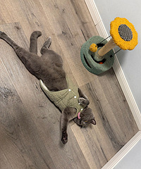 �����ع��������˲��˯��