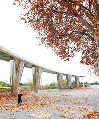 �������ɿ��ţ�������������һ������԰