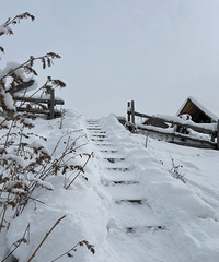 �����İ���̩������