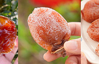 ����һ��ĸ�ƽ��������˪���ѩ��Ŵ����Q���ó�