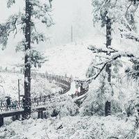 Ԫ�������ܱ���·�Ƽ�