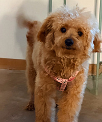 ����̩�ϵܵ�Ѱ����������