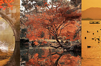 Ϊ���Ľ�⴩����ר�ŷ����˺���