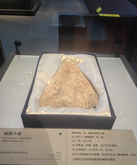 �������ܴ����Ĳ���ݣ������С��л���һ����