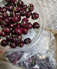 ����ĳ����ӿ�ʼ��