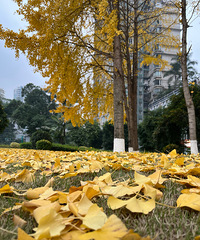 [��¼]41���������ǳ��ںĵ�һ��