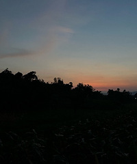 Ѱ83��δ��������ʿ��