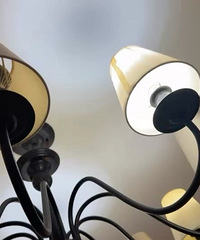 �������ֽ���ģ����Һü����ˣ�����ô�죿