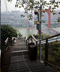 ��ɽ�������������˸ɹ����£���¥���ܿ����Ҷ����Ļ�ȫ���ϯ