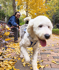 ����һֻ����+�޹��Ϲ�