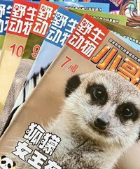 ������ա����¶��У����ӳ���