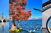 ʮ����ٴλ��ζ��� ��ͨ���ߴ�����������Ħ��