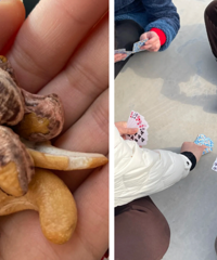 [����]��00��������������ţ����ˣ�