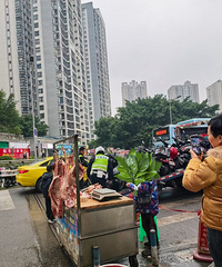 ����Ա�������ˣ��͸�������������������