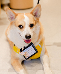 �����ӲμӰ����輧���ջ�