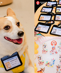 �����ӲμӰ����輧���������ջᣬ����