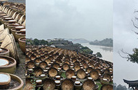 ���������˺Ͻ�����ĩһ��������ȥ��