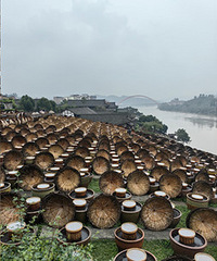 ���������˺Ͻ�����ĩһ��������ȥ��