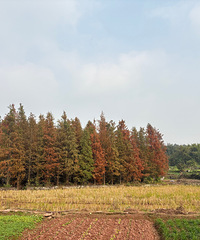 ����ȥ�山�����ؿ���ɼ��