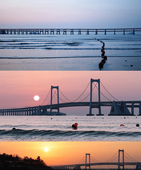 [����]����괺�ڵ�����ƻ����Է�������ϣ���˾�1������