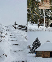 �����İ���̩������