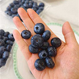 �����ݮ�ó�����3����