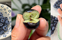 �����ݮ��������Ʒ�ʶ��ܺã�Ƥ����໨��ζ����