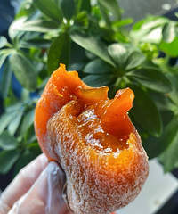 [�Ƽ�]ÿ�궼Ҫ�Եĸ�ƽ���������ڵ����ʵģ�ҧ�����滹������