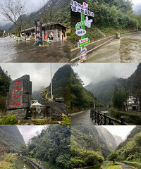 �����ܱ����30Ԫ��ͽ�����о��������ɾ�