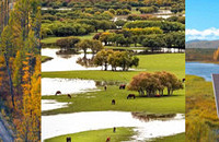 ��ѱ¹��ӡ����һ��������ɺ��Ұ�������ʢ��