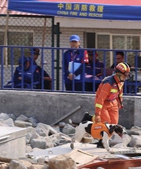 ��лл���ϻ�ƣ�������Ա������ӣ����12��ľ�ԮȮ��������